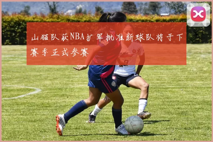 山猫队获NBA扩军批准新球队将于下赛季正式参赛