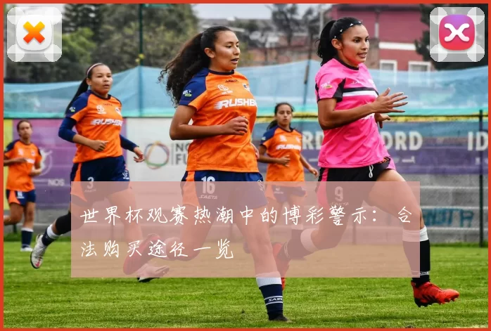 世界杯观赛热潮中的博彩警示：合法购买途径一览