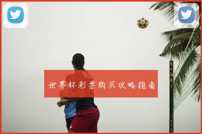世界杯彩票购买攻略指南