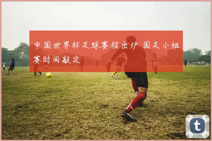 中国世界杯足球赛程出炉 国足小组赛时间敲定