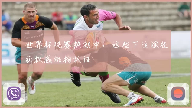 世界杯观赛热潮中，这些下注途径获权威机构认证