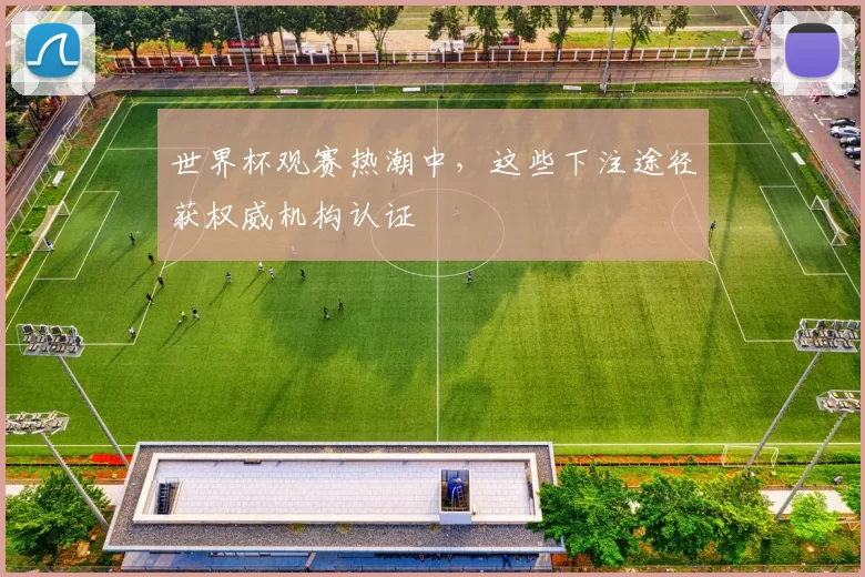 世界杯观赛热潮中，这些下注途径获权威机构认证