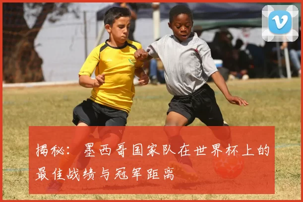 揭秘：墨西哥国家队在世界杯上的最佳战绩与冠军距离