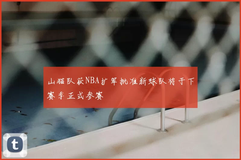山猫队获NBA扩军批准新球队将于下赛季正式参赛