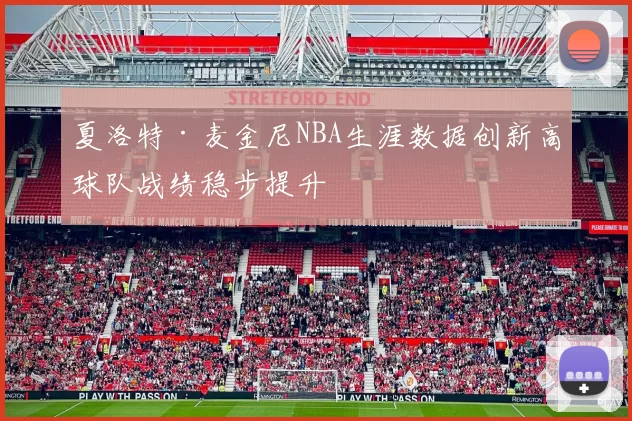 夏洛特·麦金尼NBA生涯数据创新高球队战绩稳步提升
