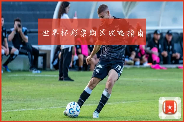 世界杯彩票购买攻略指南