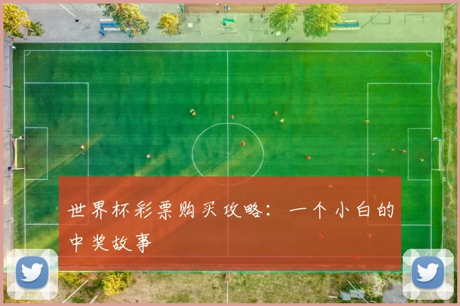 世界杯彩票购买攻略：一个小白的中奖故事