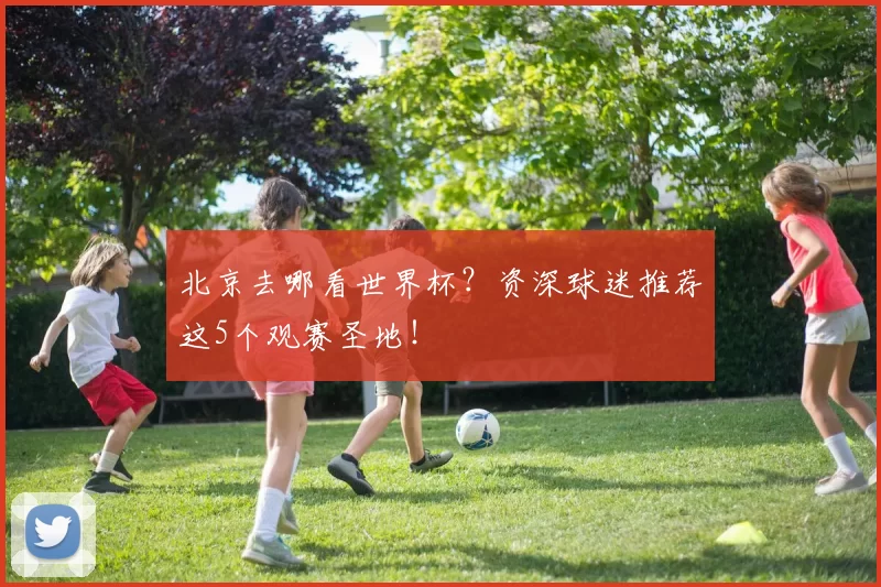 北京去哪看世界杯？资深球迷推荐这5个观赛圣地！